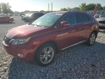  Salvage Lexus RX