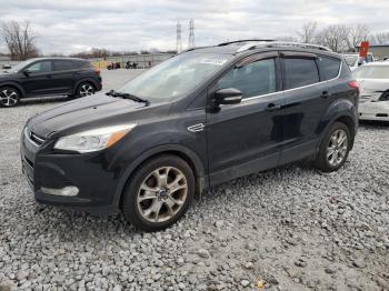  Salvage Ford Escape