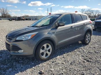  Salvage Ford Escape