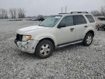  Salvage Ford Escape