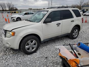  Salvage Ford Escape