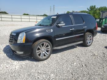  Salvage Cadillac Escalade