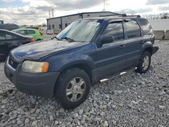  Salvage Ford Escape