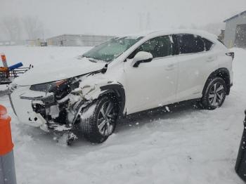  Salvage Lexus NX