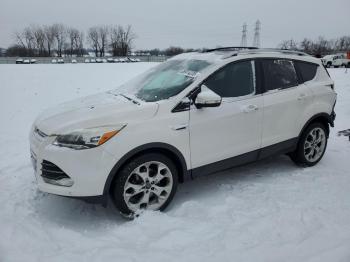  Salvage Ford Escape