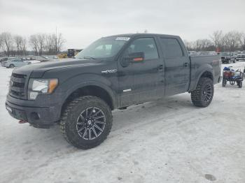  Salvage Ford F-150