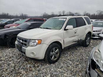  Salvage Ford Escape