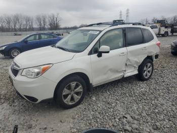  Salvage Subaru Forester