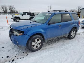  Salvage Ford Escape