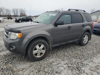  Salvage Ford Escape