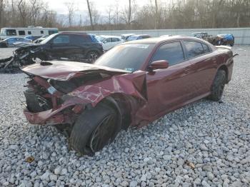  Salvage Dodge Charger