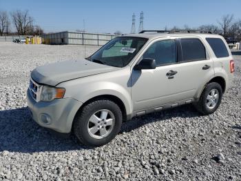  Salvage Ford Escape