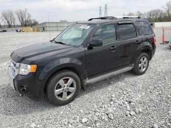  Salvage Ford Escape