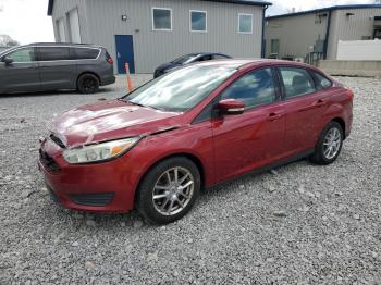  Salvage Ford Focus
