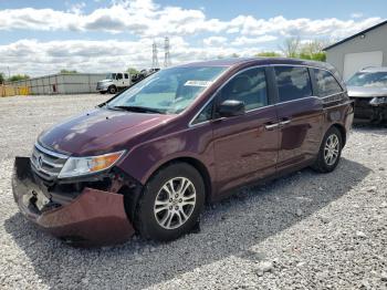  Salvage Honda Odyssey
