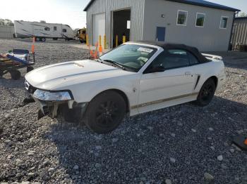  Salvage Ford Mustang