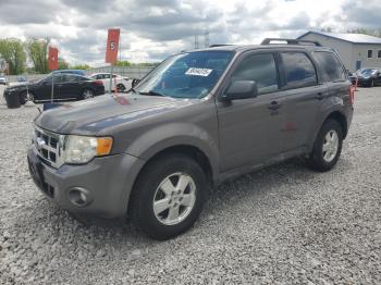  Salvage Ford Escape