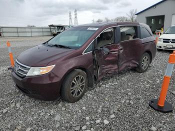  Salvage Honda Odyssey