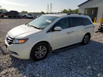  Salvage Honda Odyssey