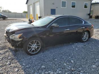  Salvage Nissan Maxima