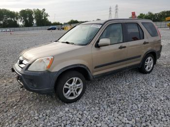  Salvage Honda Crv