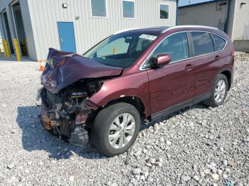  Salvage Honda Crv