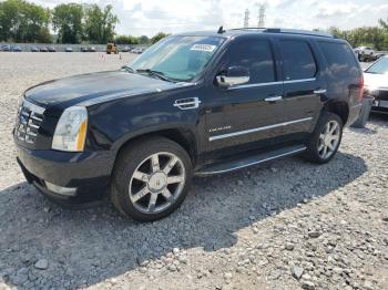  Salvage Cadillac Escalade