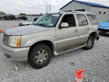  Salvage Cadillac Escalade