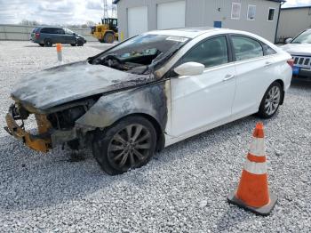  Salvage Hyundai SONATA