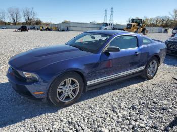  Salvage Ford Mustang