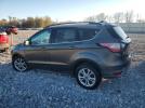 Ford Escape Sel Image 6