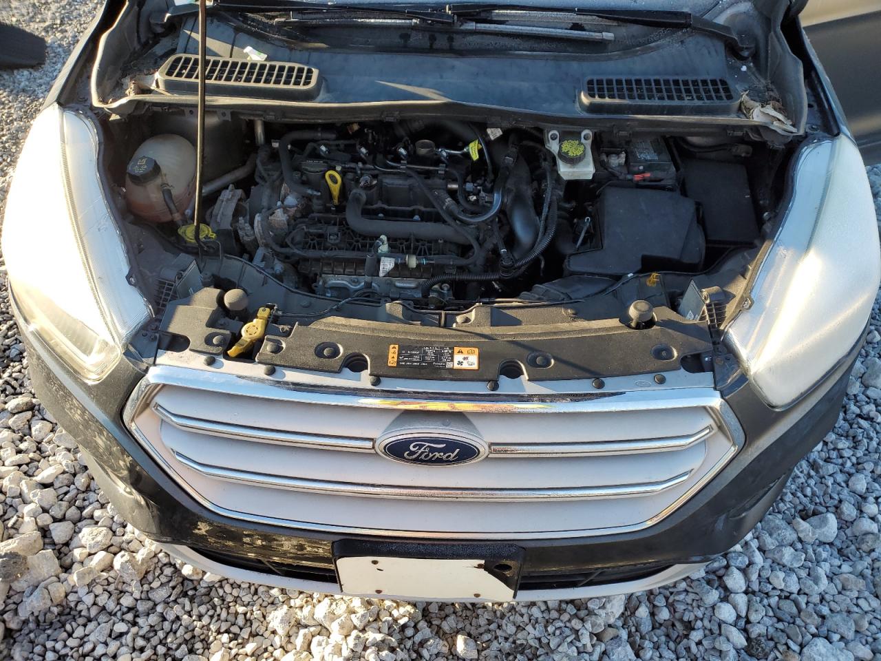 Ford Escape Sel Image 12
