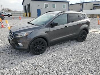  Salvage Ford Escape