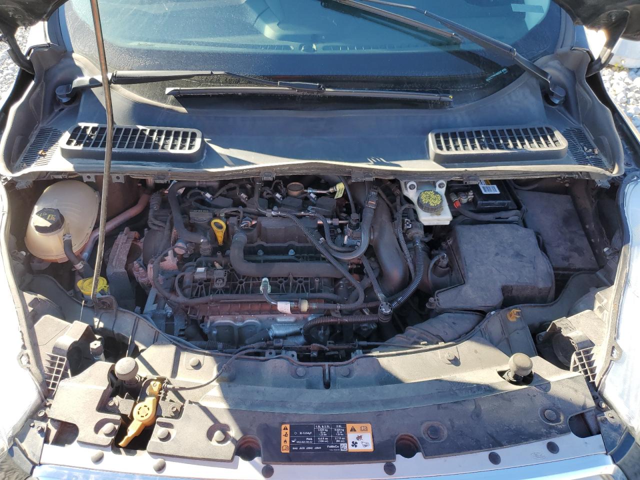 Ford Escape Se Image 11