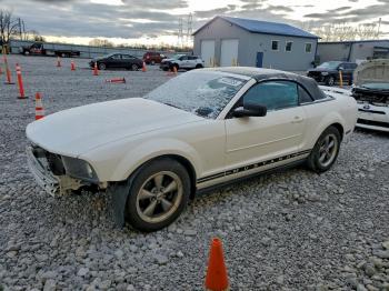  Salvage Ford Mustang