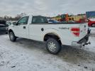 Ford F-150 Image 2