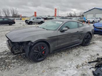  Salvage Ford Mustang