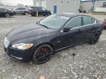  Salvage Jaguar XF