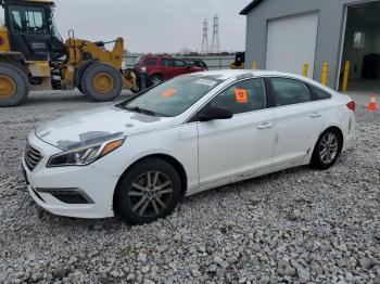  Salvage Hyundai SONATA