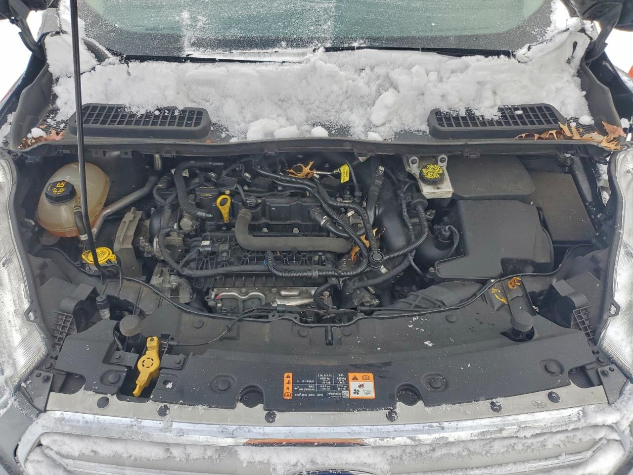 Ford Escape Se Image 11