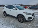 Hyundai SANTA FE Image 4