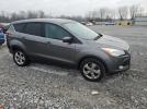 Ford Escape Se Image 13