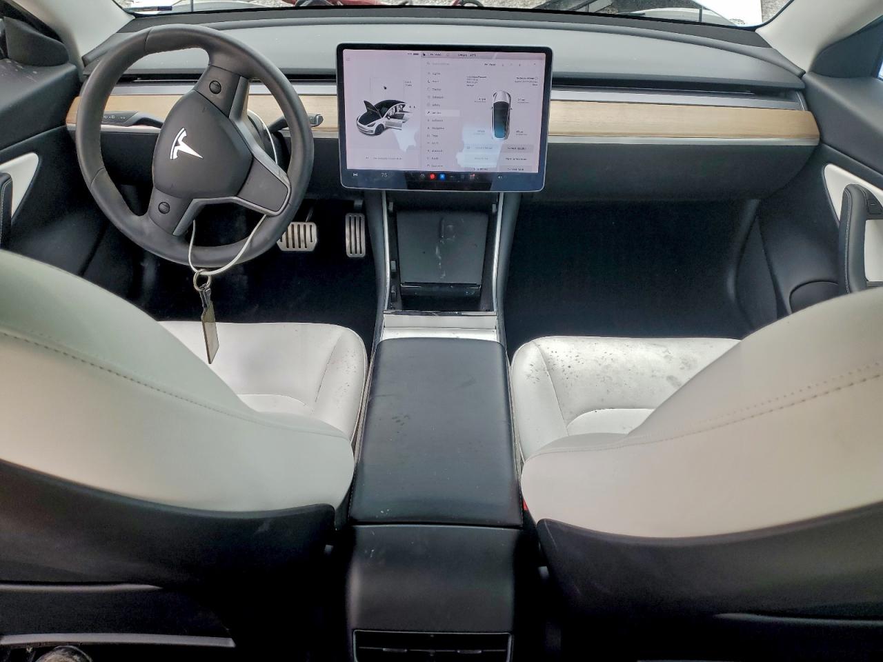 Tesla Model 3 Image 8