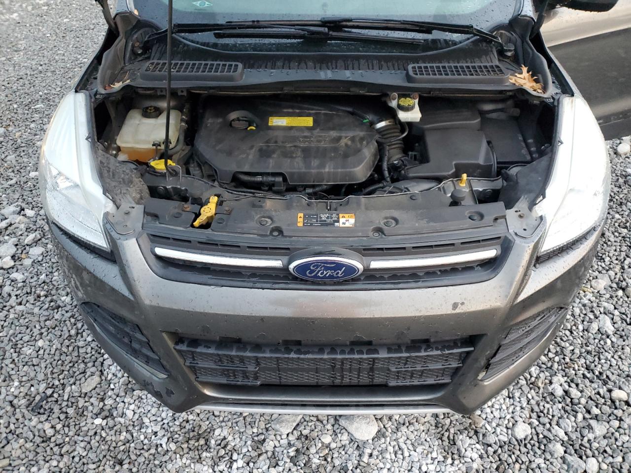 Ford Escape Se Image 11